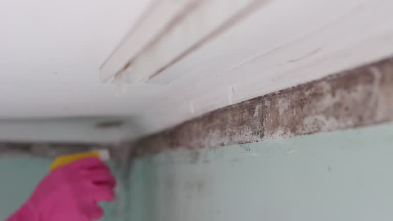 Jenks, OK Mold Removal Company